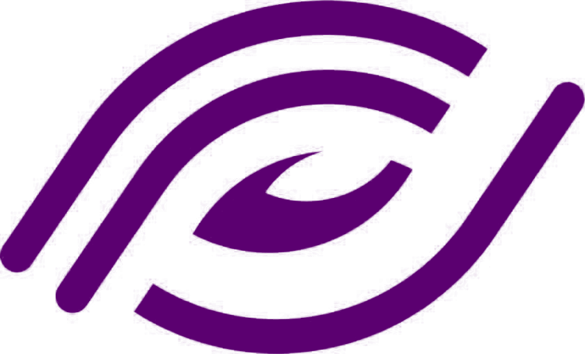 Visage Optika logo